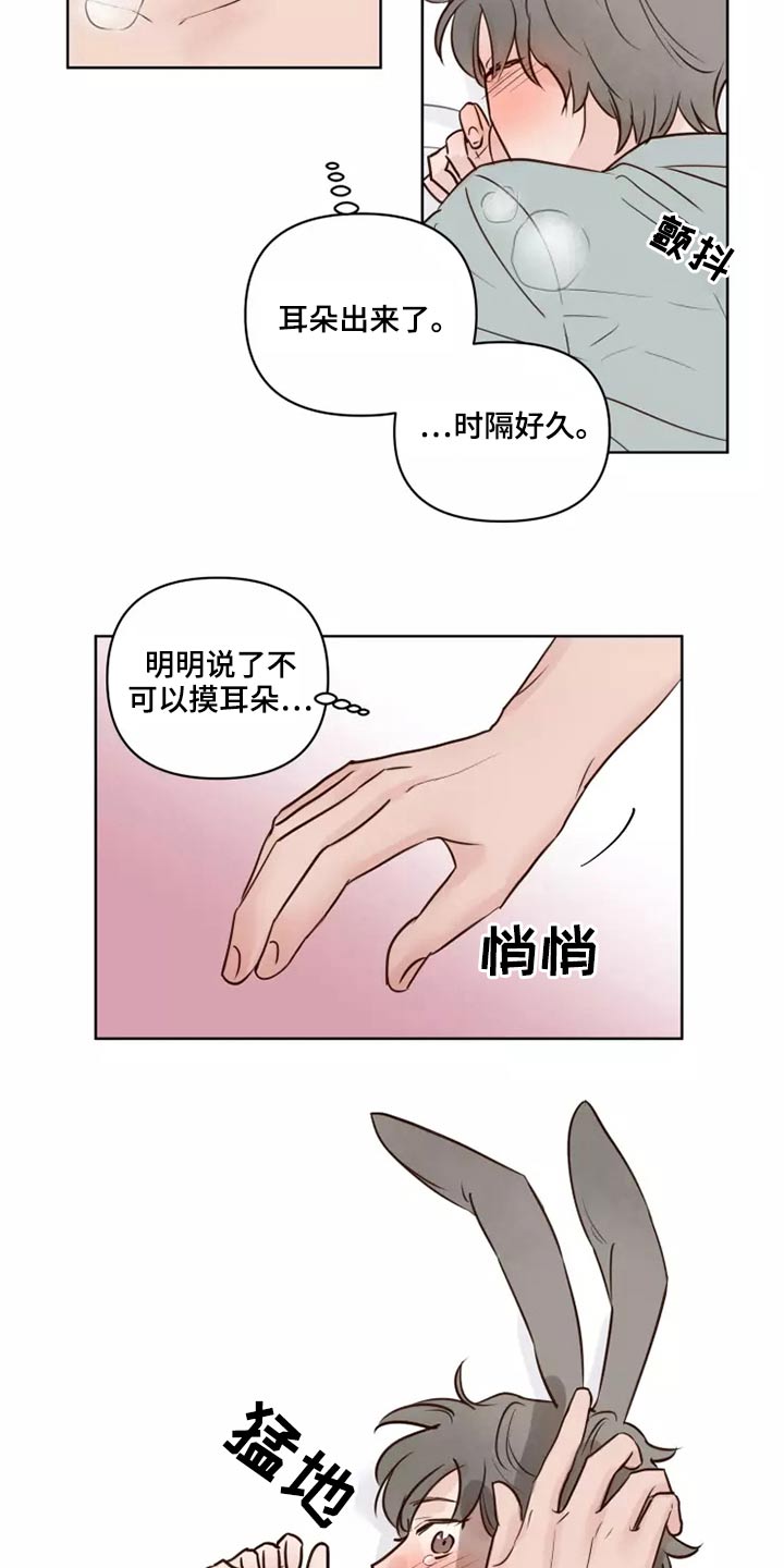《龟兔同行》第42章愿意 第18页