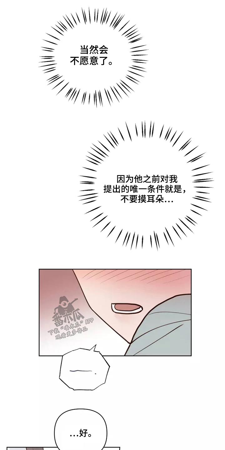 《龟兔同行》第42章愿意 第20页