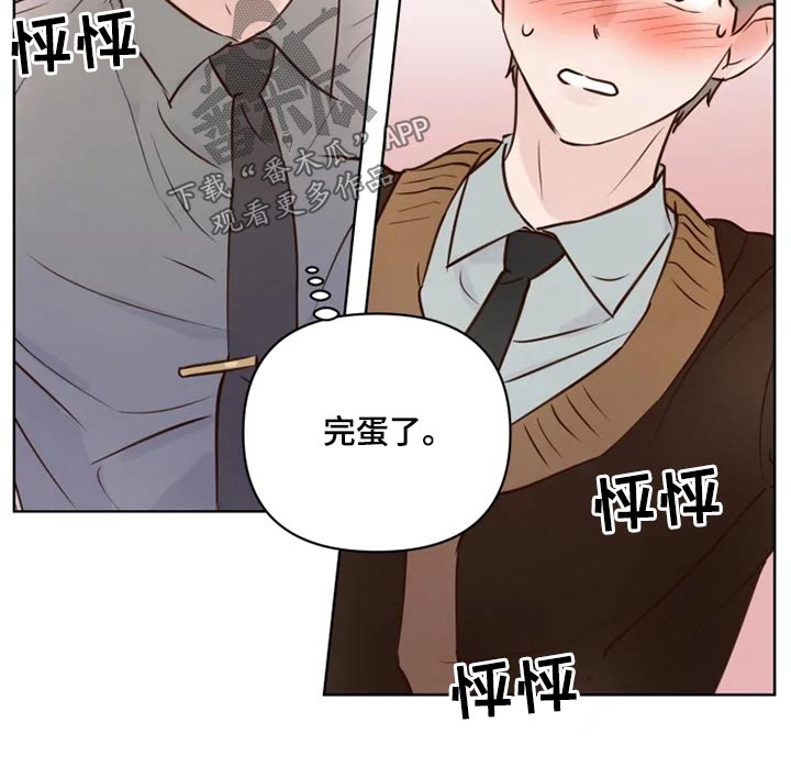 《龟兔同行》第41章很清楚 第17页
