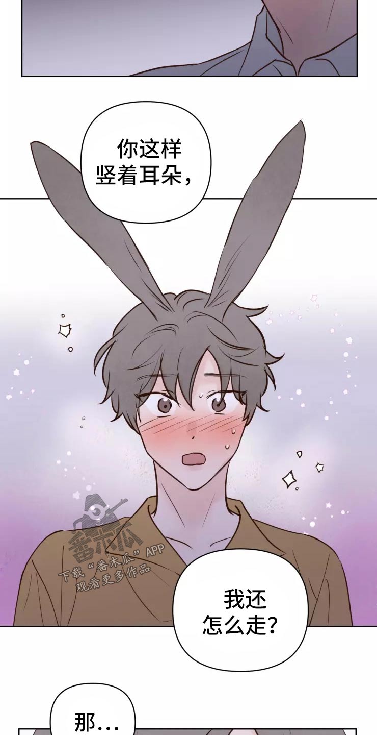 《龟兔同行》第45章走之前 第10页