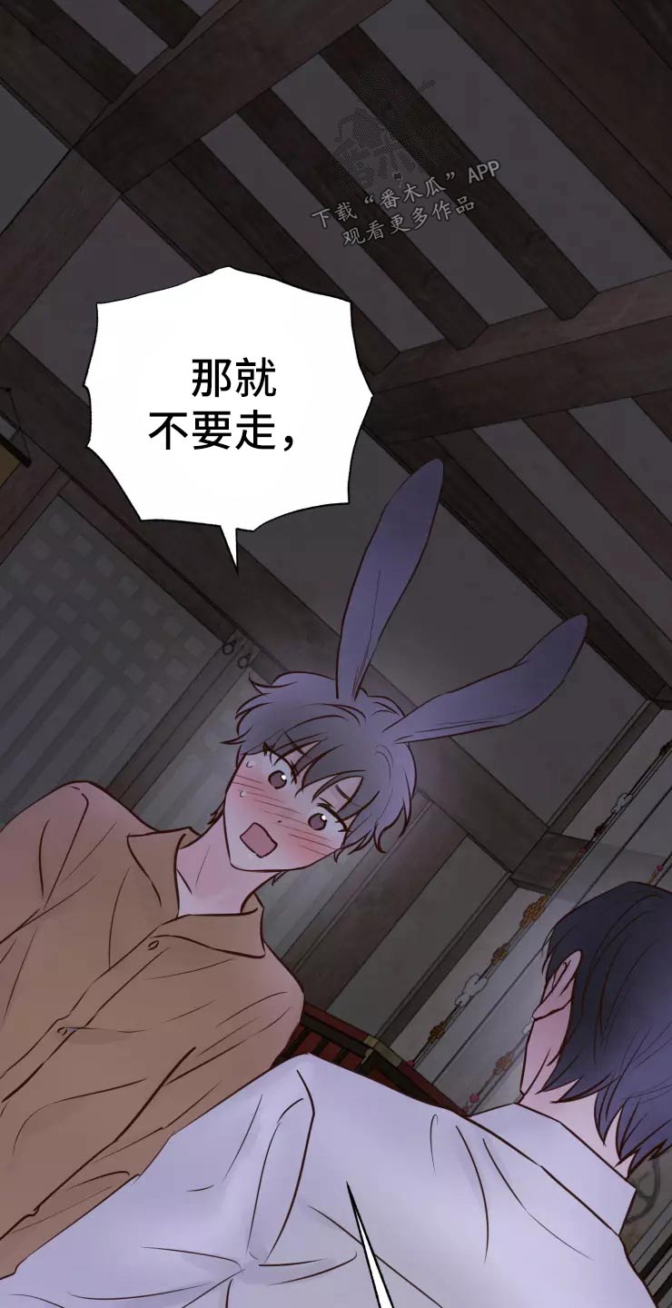 《龟兔同行》第45章走之前 第12页