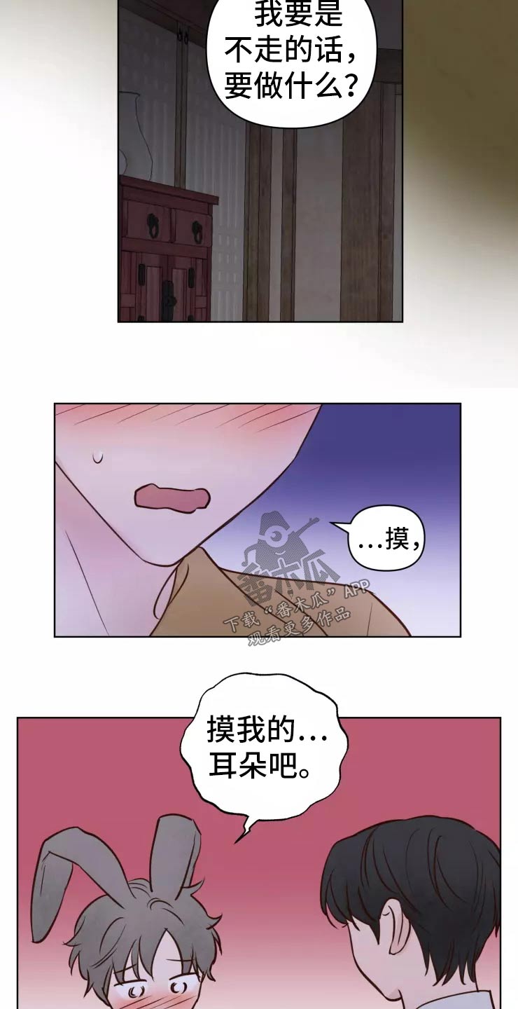 《龟兔同行》第45章走之前 第14页