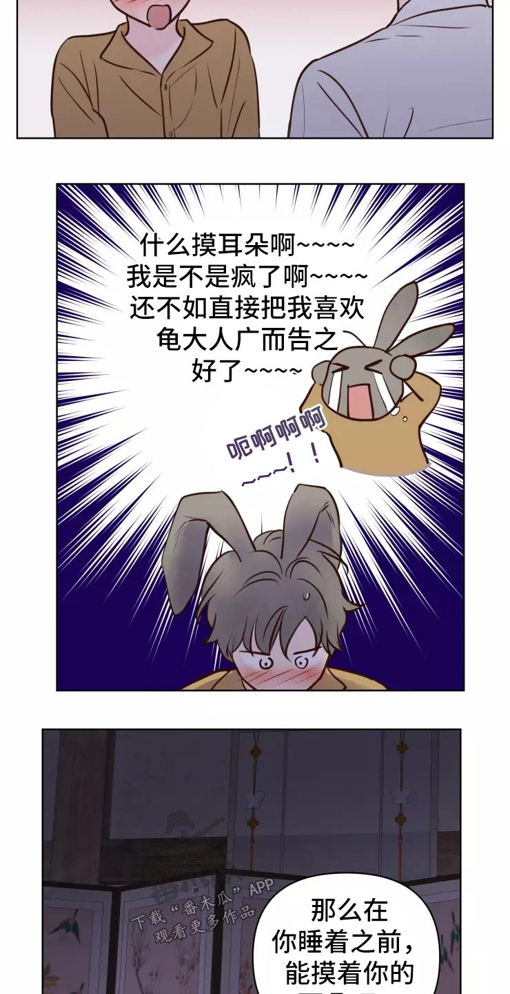 《龟兔同行》第45章走之前 第15页
