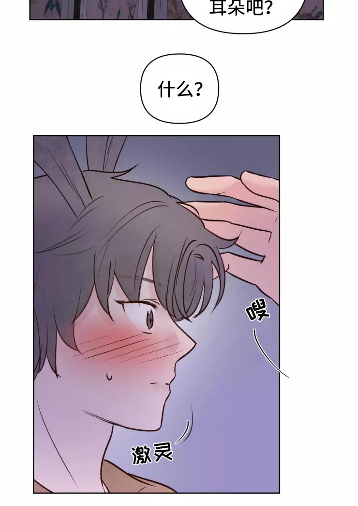 《龟兔同行》第45章走之前 第16页