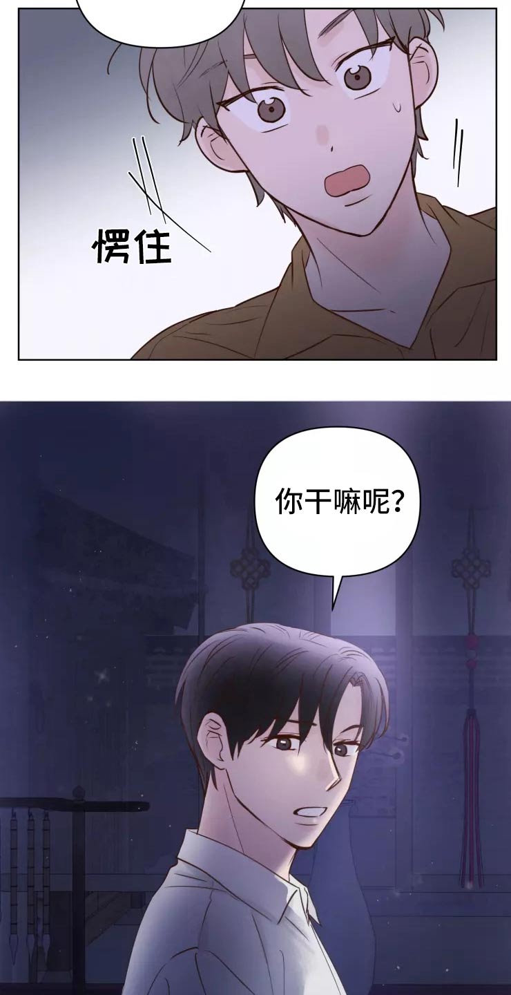 《龟兔同行》第45章走之前 第2页