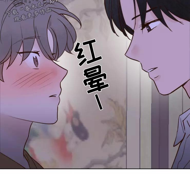 《龟兔同行》第45章走之前 第6页