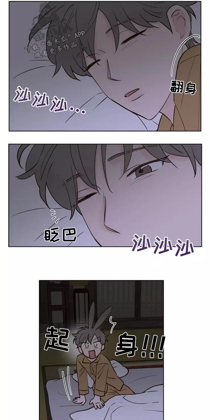 《龟兔同行》第44章小偷？ 第16页