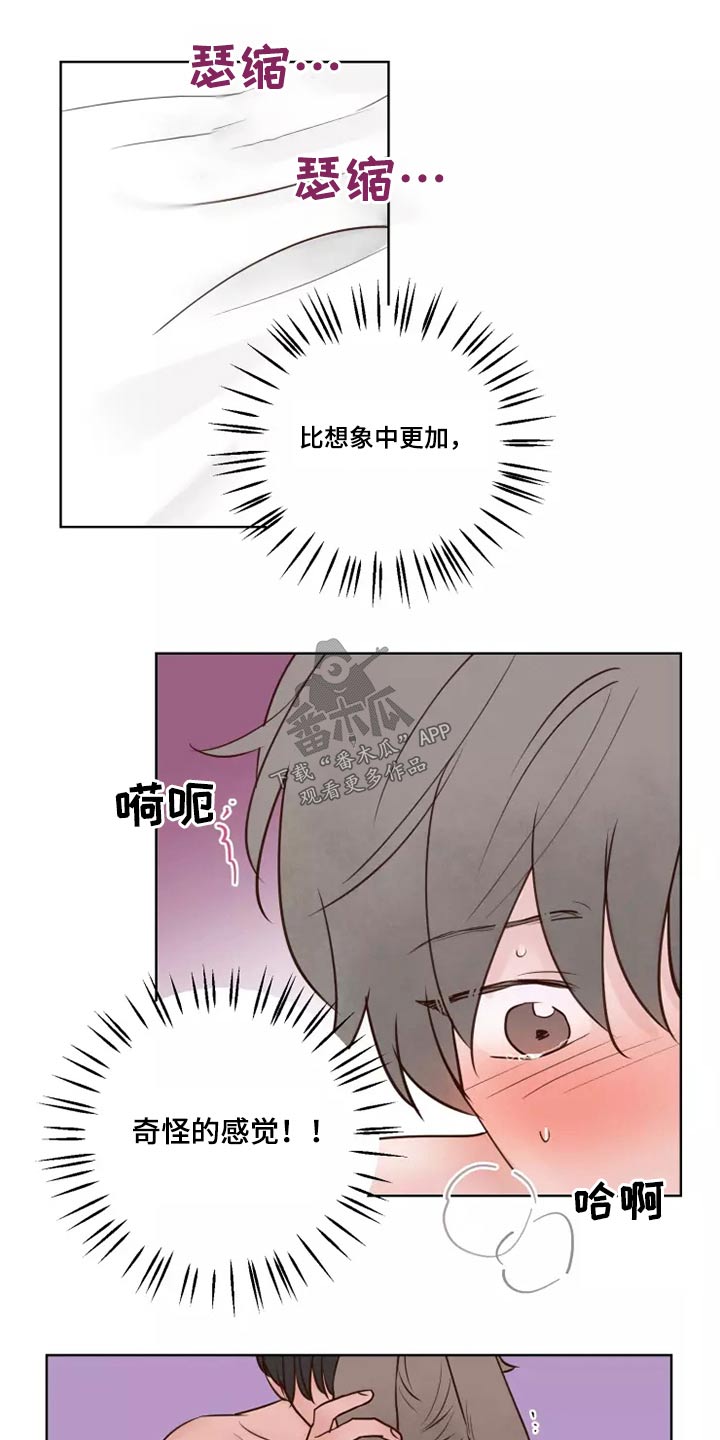 《龟兔同行》第43章耳朵 第11页