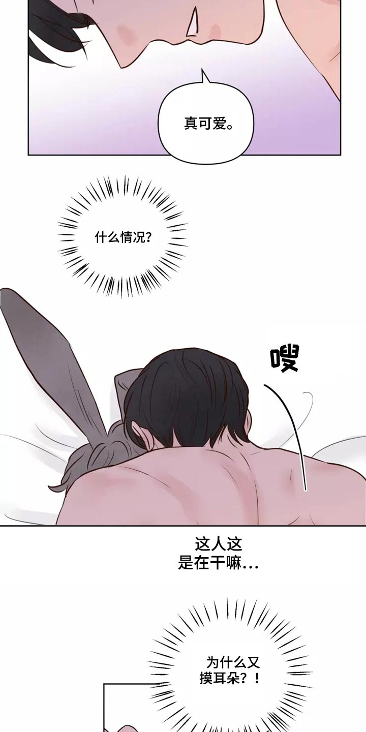 《龟兔同行》第43章耳朵 第17页