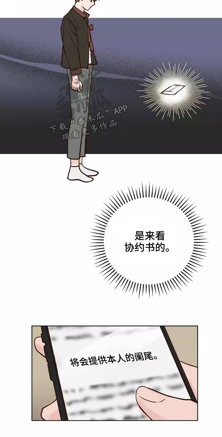 《龟兔同行》第46章协议 第10页