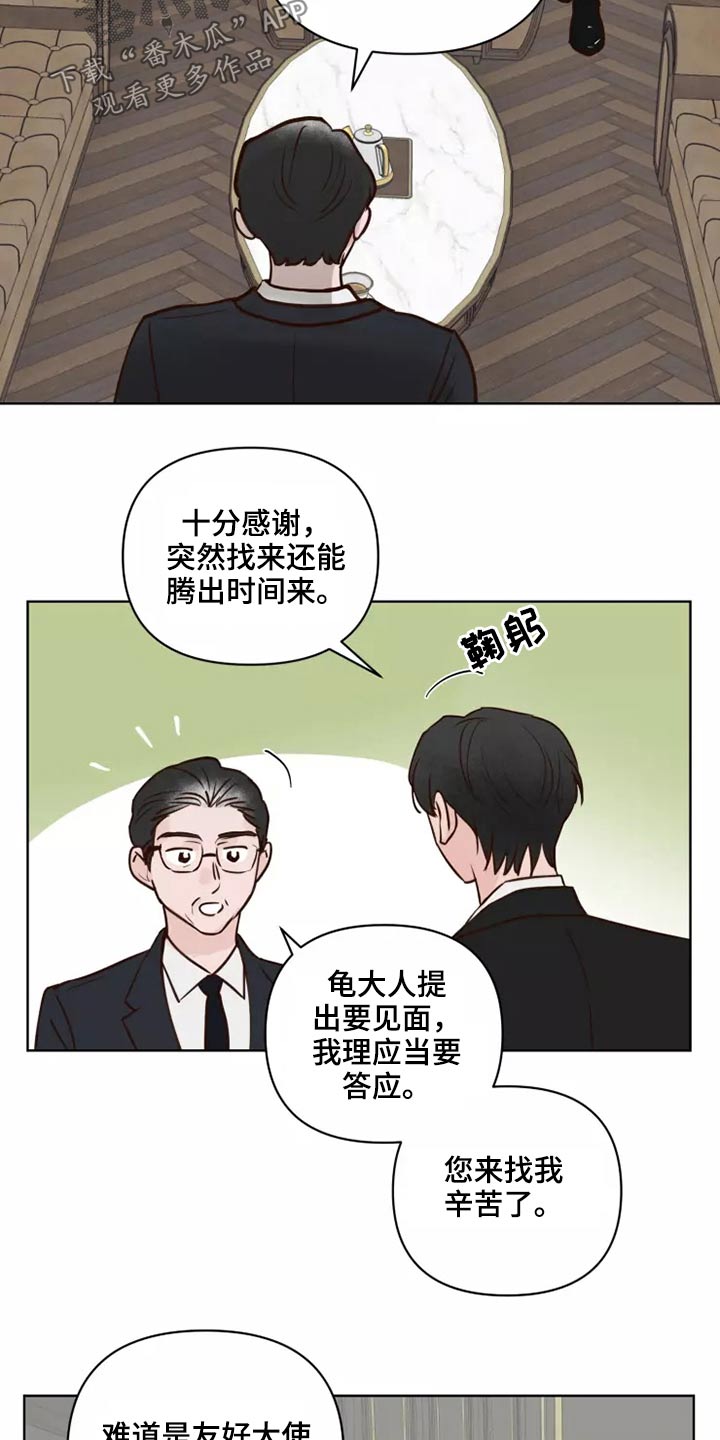 《龟兔同行》第46章协议 第13页