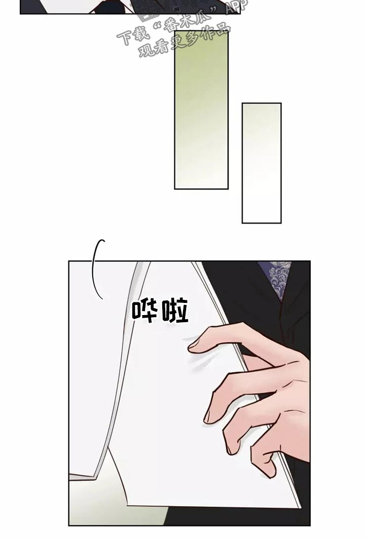 《龟兔同行》第46章协议 第15页