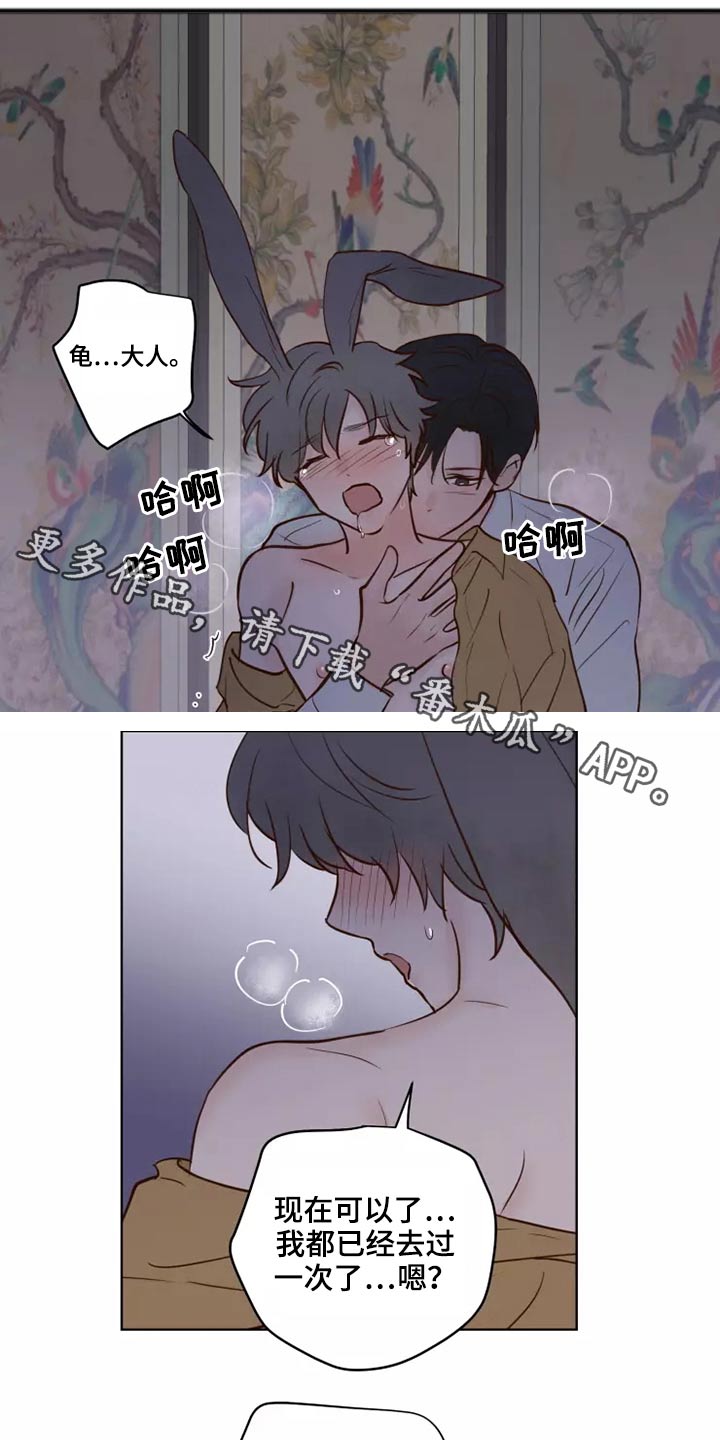 《龟兔同行》第46章协议 第1页