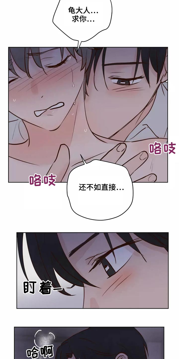 《龟兔同行》第46章协议 第2页