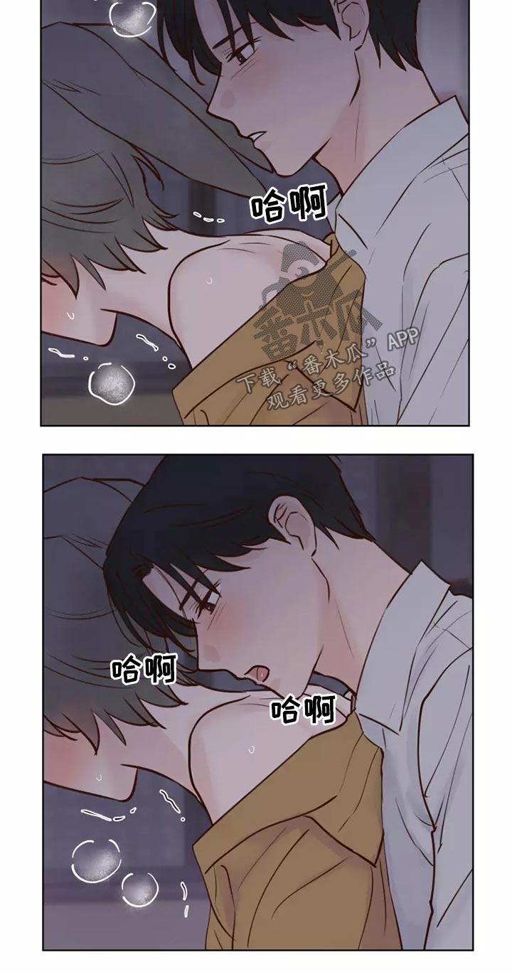 《龟兔同行》第46章协议 第3页