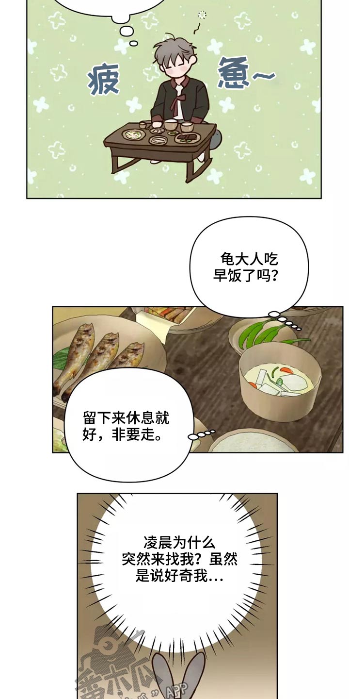 《龟兔同行》第46章协议 第5页