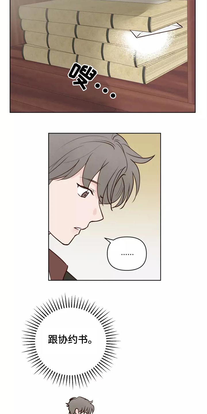 《龟兔同行》第46章协议 第9页