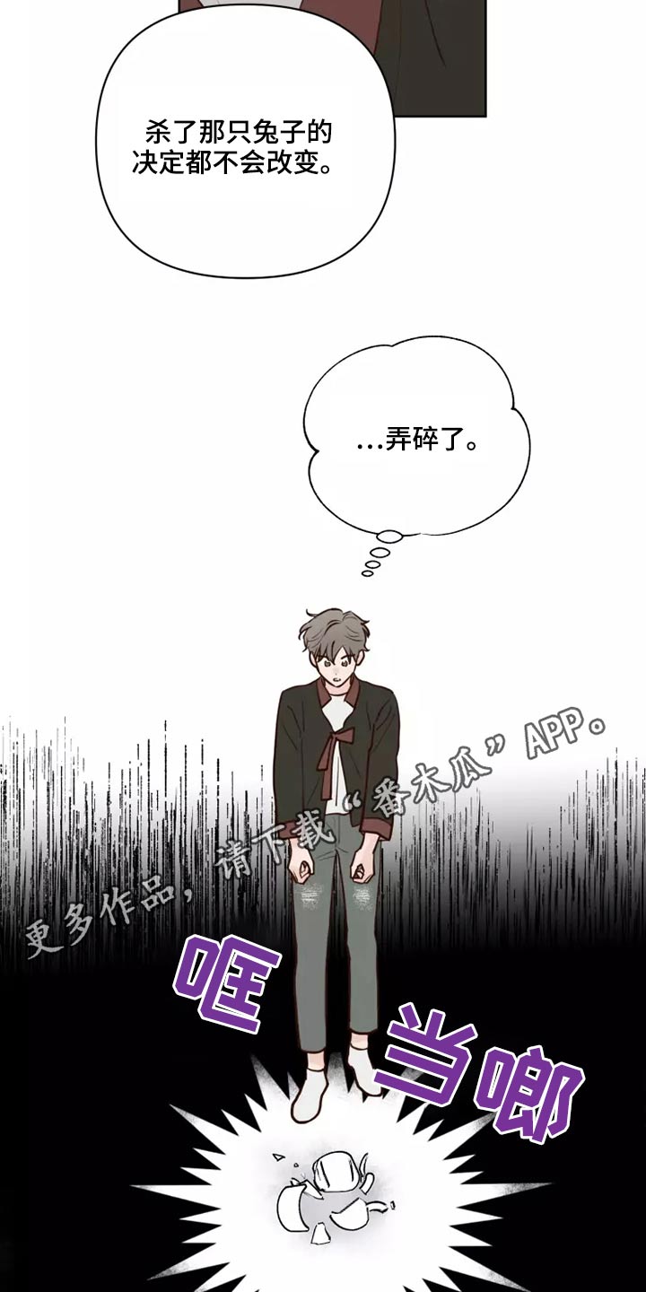 《龟兔同行》第47章碎了 第17页
