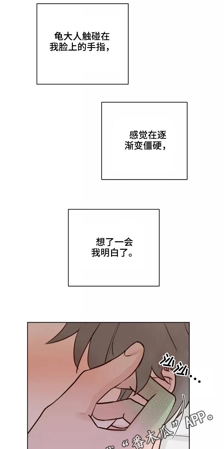《龟兔同行》第51章有什么理由 第20页