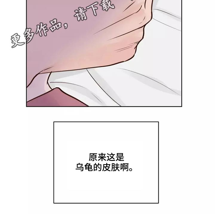 《龟兔同行》第51章有什么理由 第21页