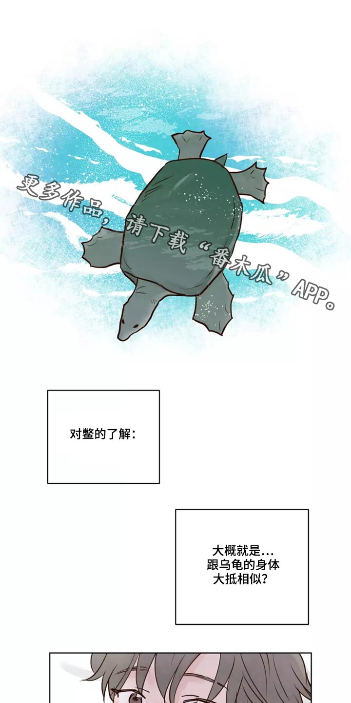 《龟兔同行》第52章快说 第1页