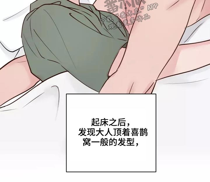 《龟兔同行》第53章处理 第2页