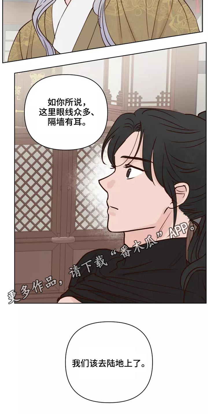 《龟兔同行》第55章汇报 第19页
