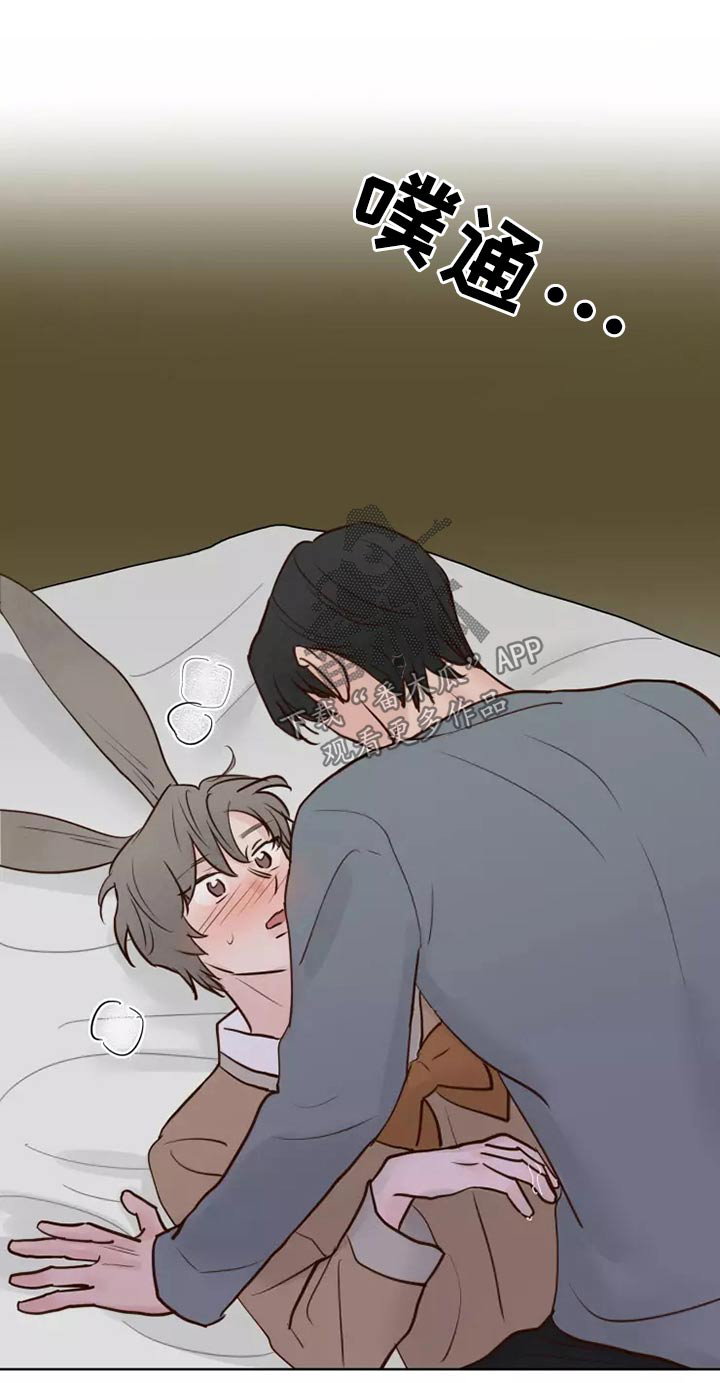 《龟兔同行》第59章一起去 第1页