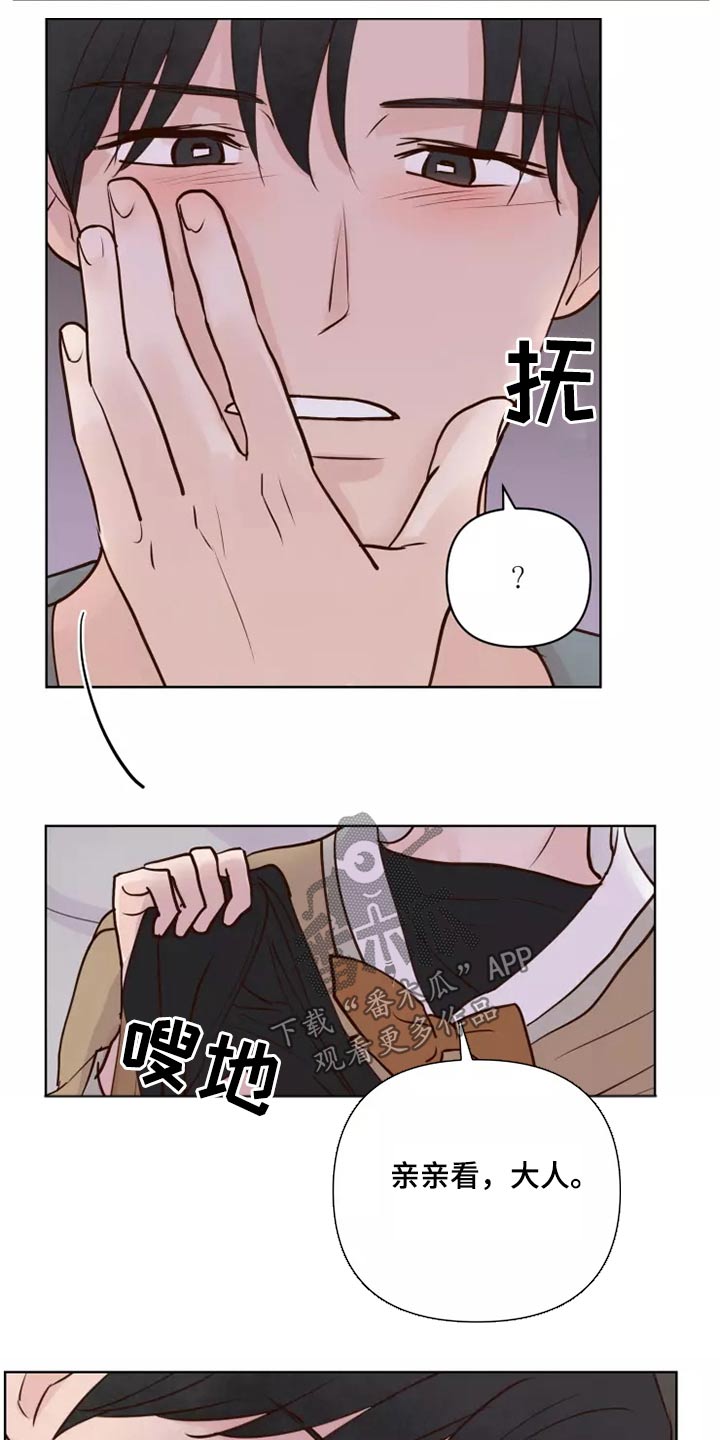 《龟兔同行》第59章一起去 第4页