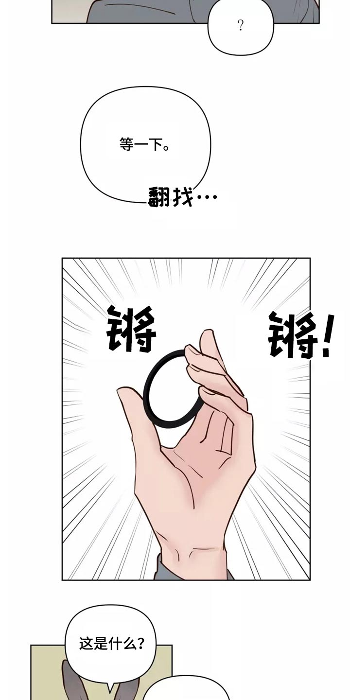 《龟兔同行》第58章让我看看 第11页