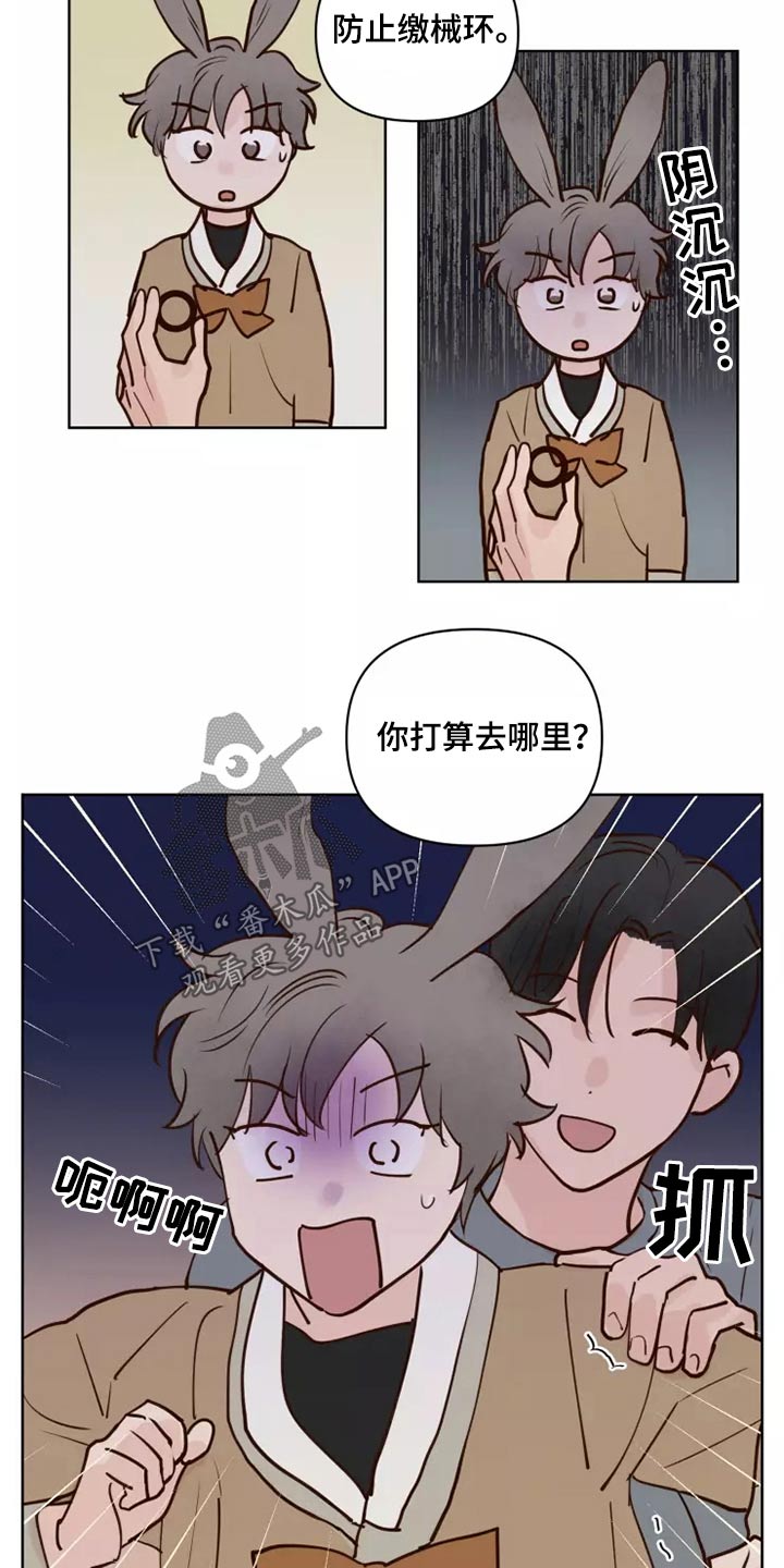 《龟兔同行》第58章让我看看 第12页