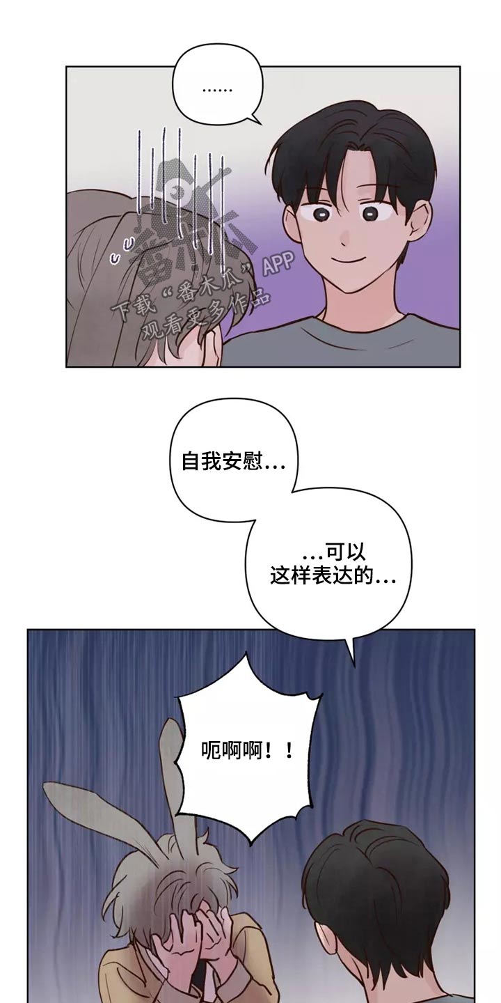 《龟兔同行》第58章让我看看 第15页