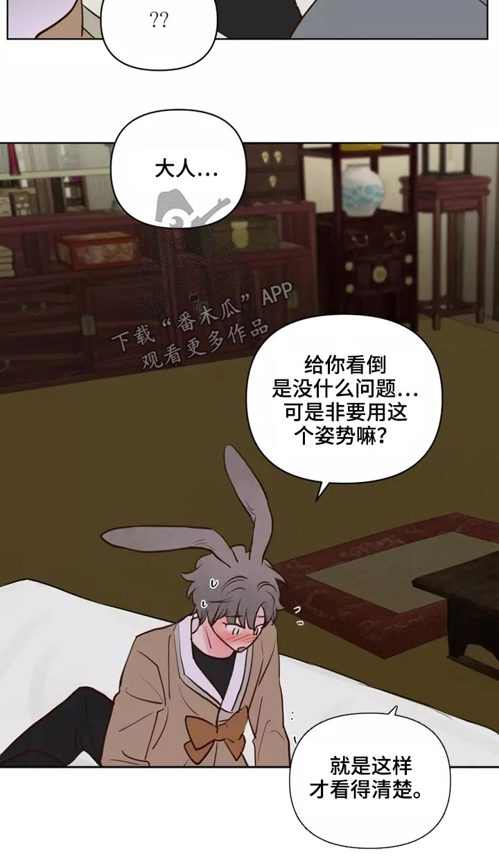 《龟兔同行》第58章让我看看 第18页