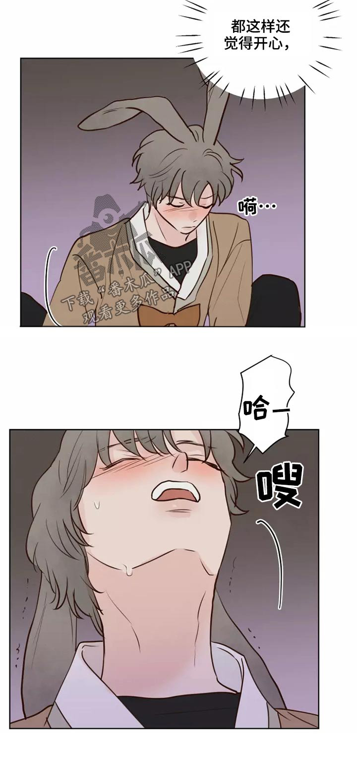 《龟兔同行》第58章让我看看 第20页