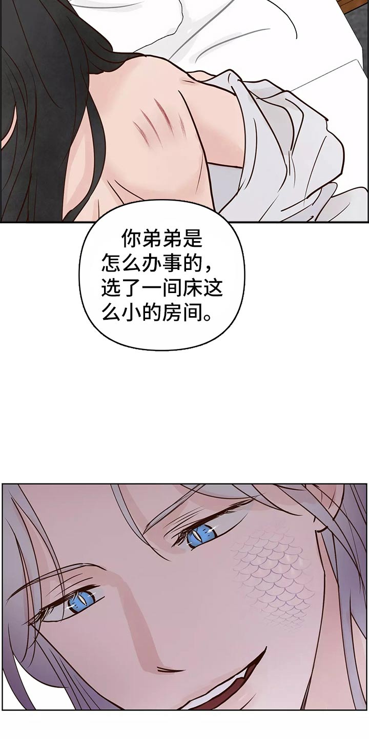 《龟兔同行》第63章开始 第12页