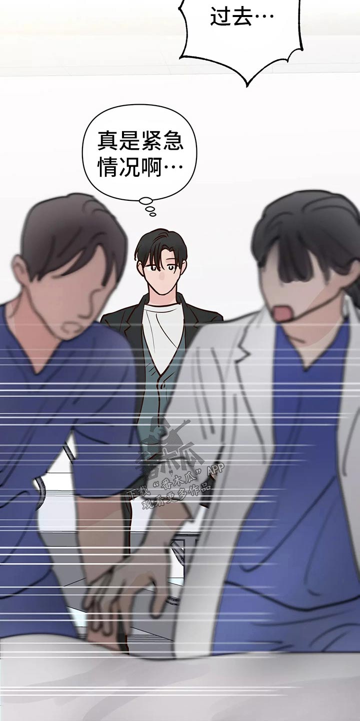 《龟兔同行》第64章车祸 第10页
