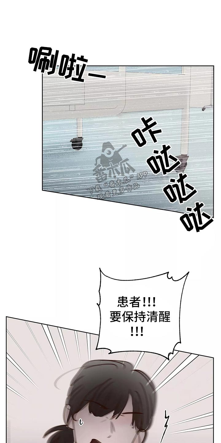 《龟兔同行》第64章车祸 第8页