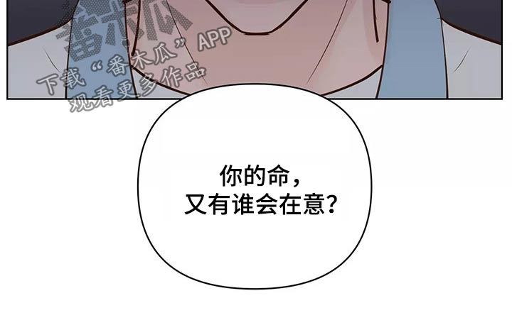 《龟兔同行》第66章协约书 第12页