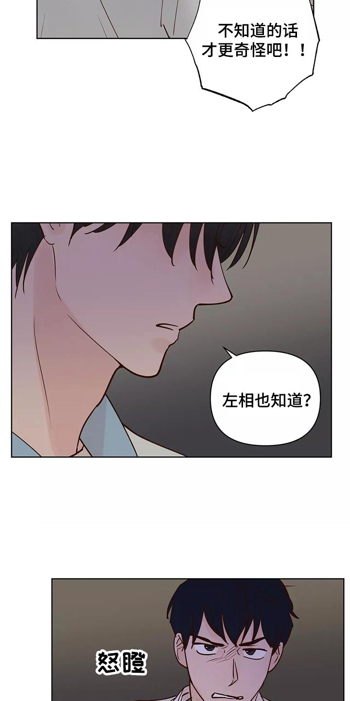 《龟兔同行》第66章协约书 第4页