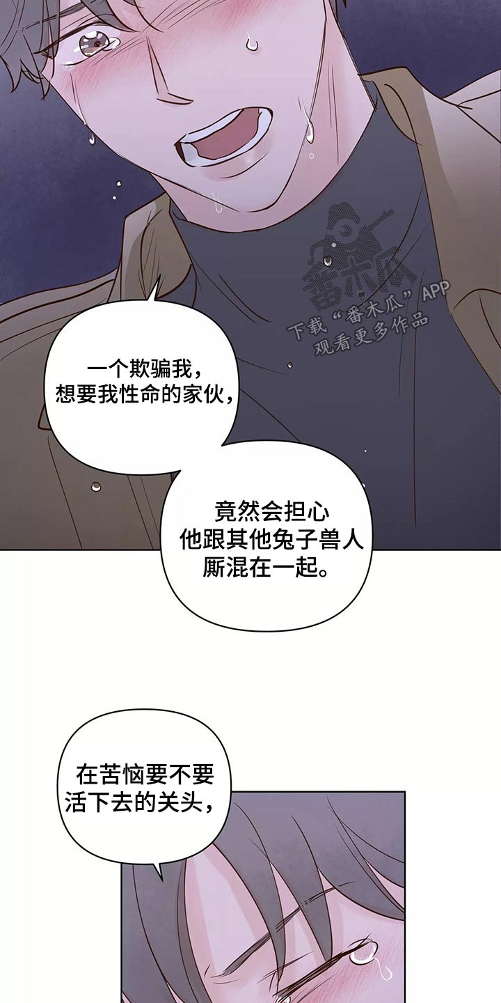 《龟兔同行》第68章解释 第4页