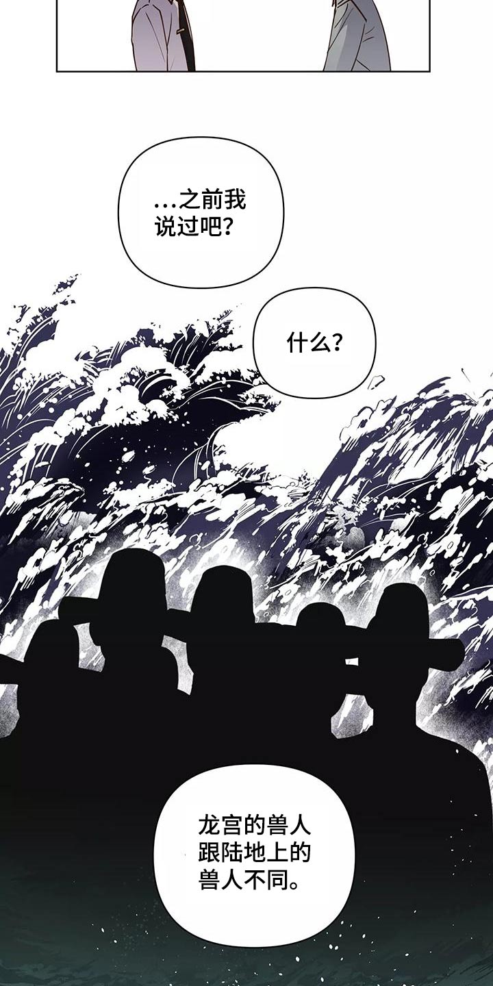 《龟兔同行》第72章协议书 第16页