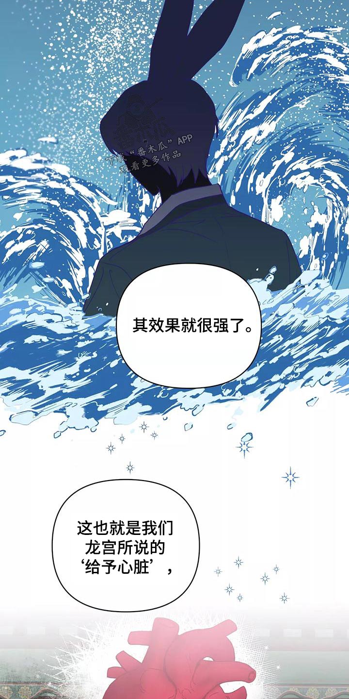《龟兔同行》第72章协议书 第19页