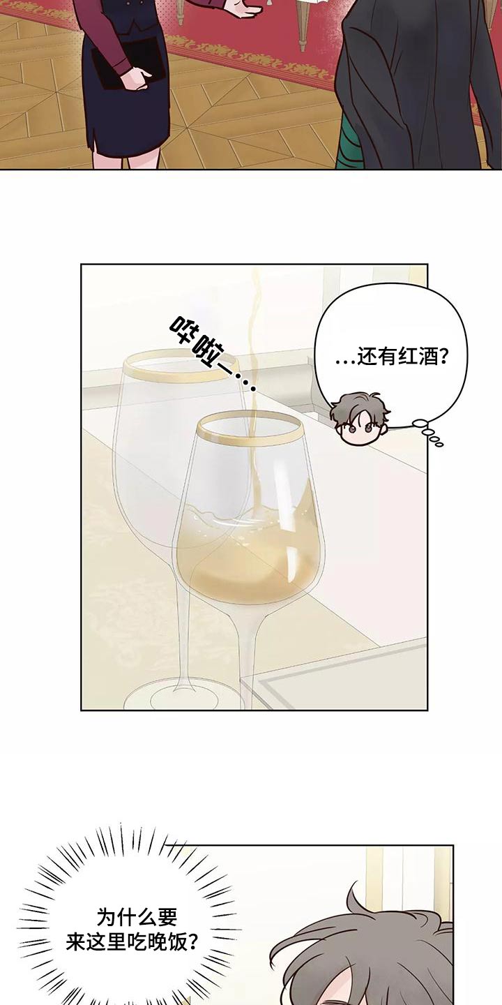 《龟兔同行》第71章生日快乐 第11页