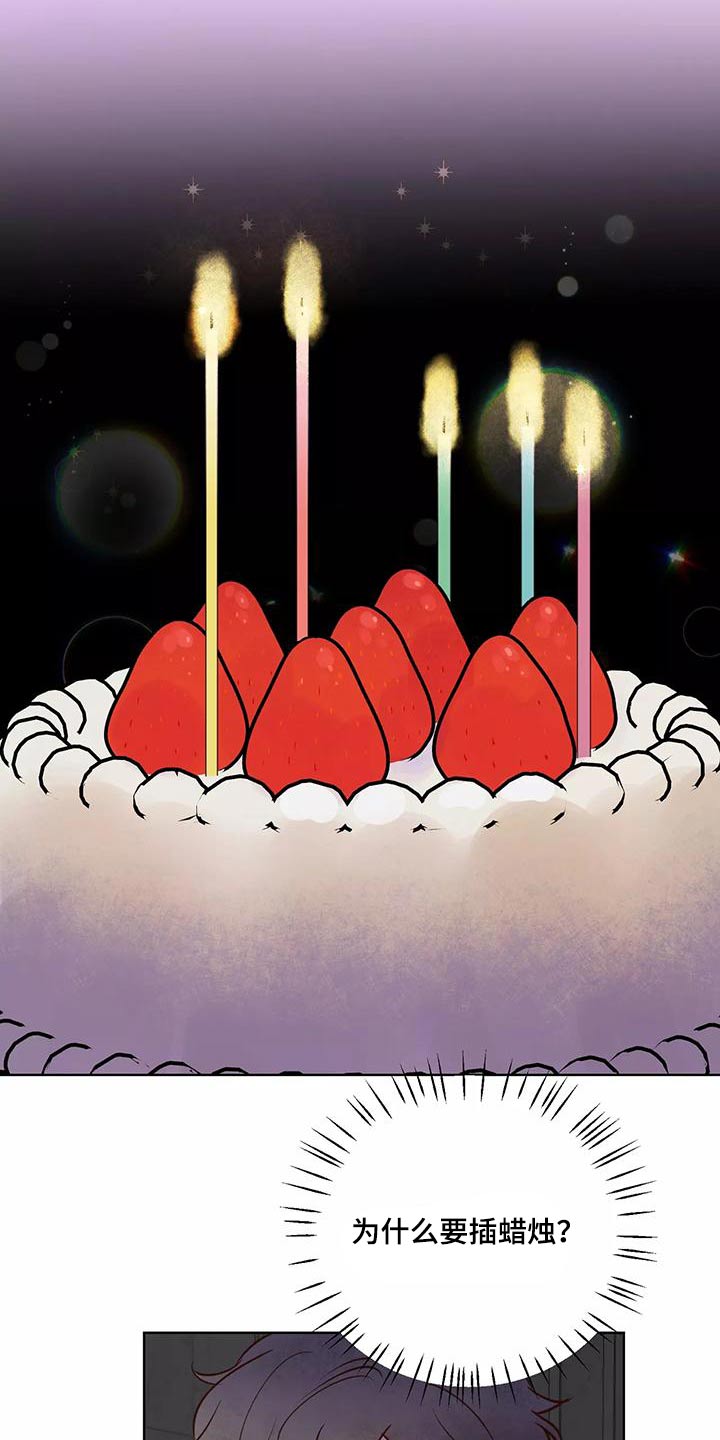 《龟兔同行》第71章生日快乐 第19页