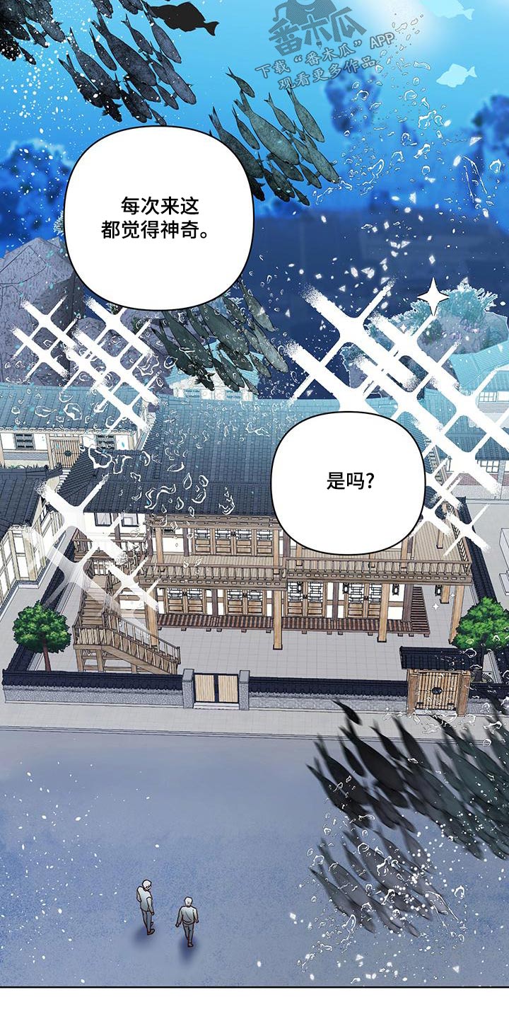 《龟兔同行》第75章猜疑 第8页