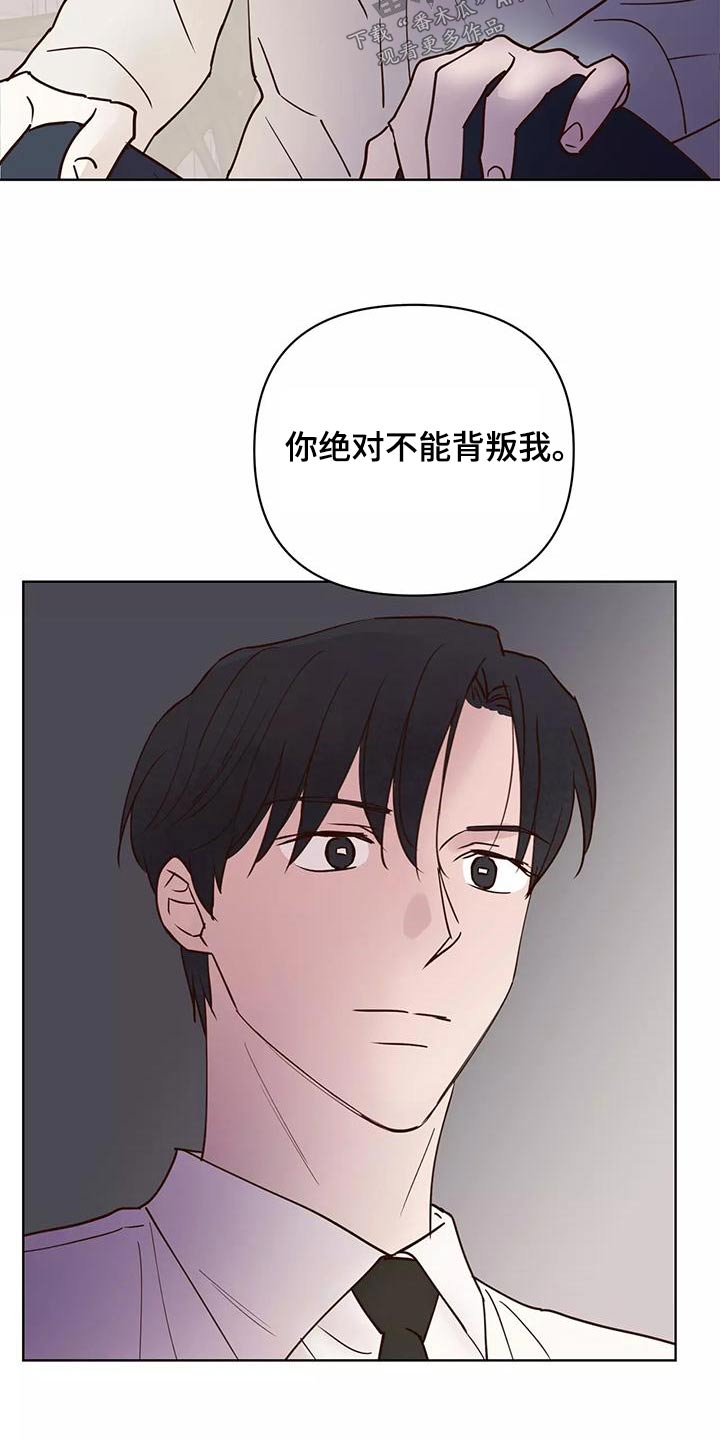 《龟兔同行》第73章释怀 第12页