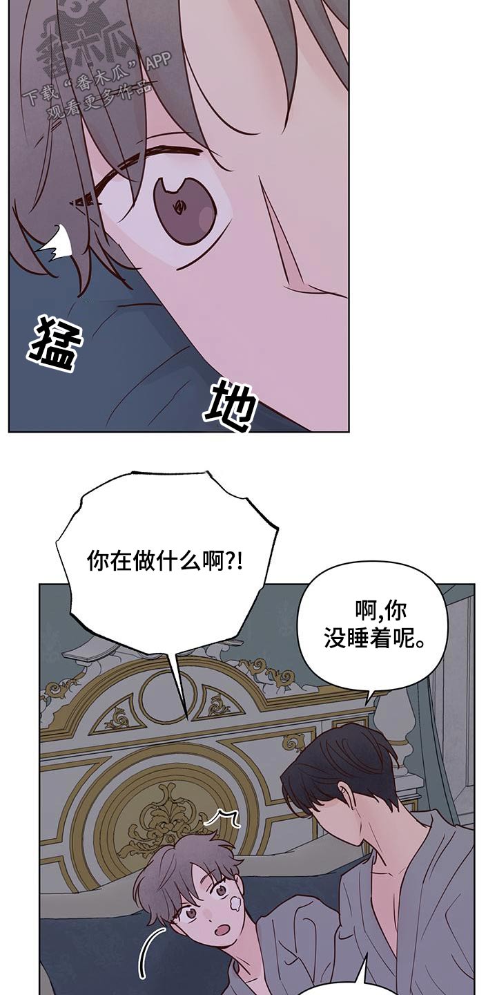 《龟兔同行》第74章蛋糕 第12页