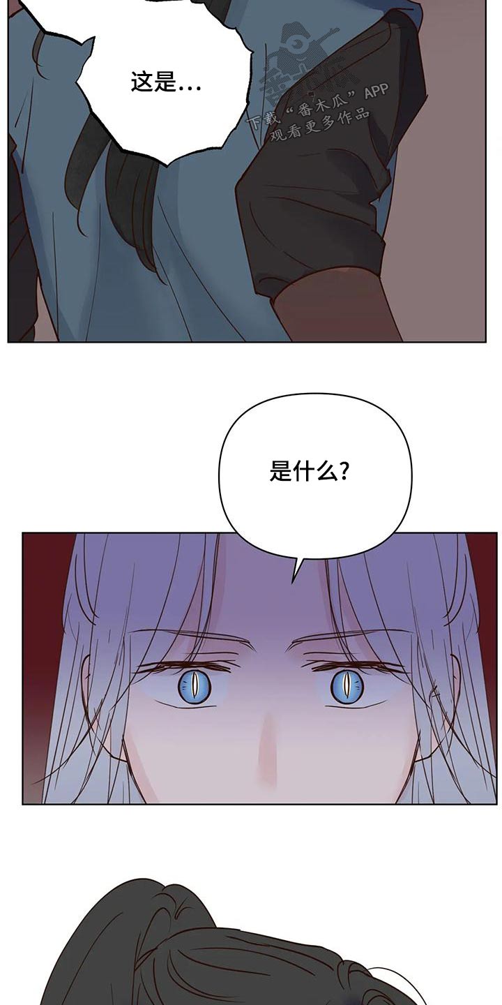 《龟兔同行》第81章那是 第20页
