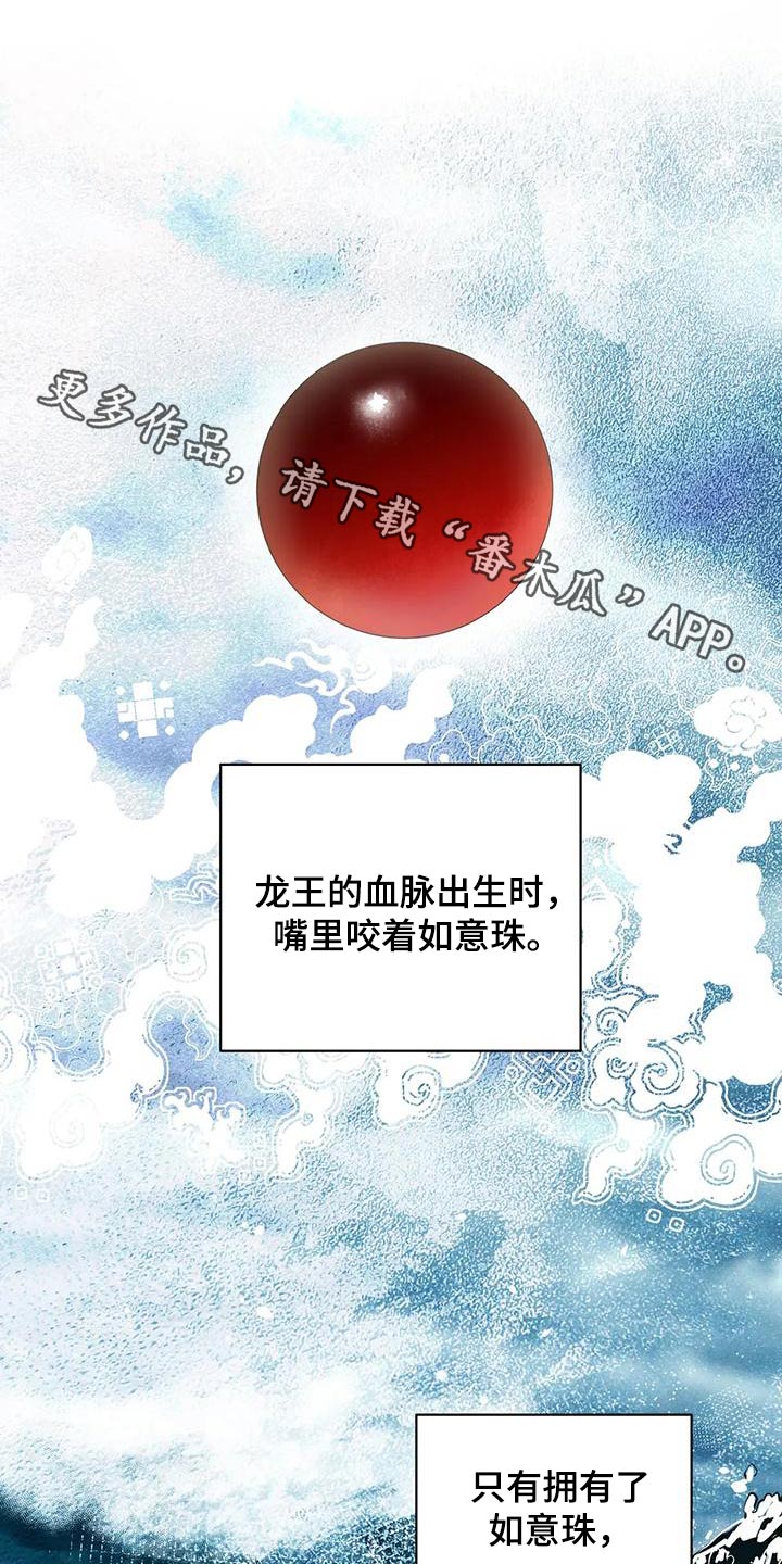 《龟兔同行》第83章龙珠 第1页