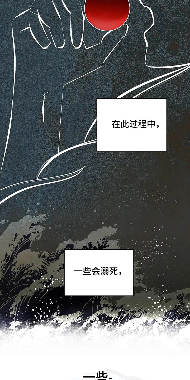 《龟兔同行》第83章龙珠 第5页